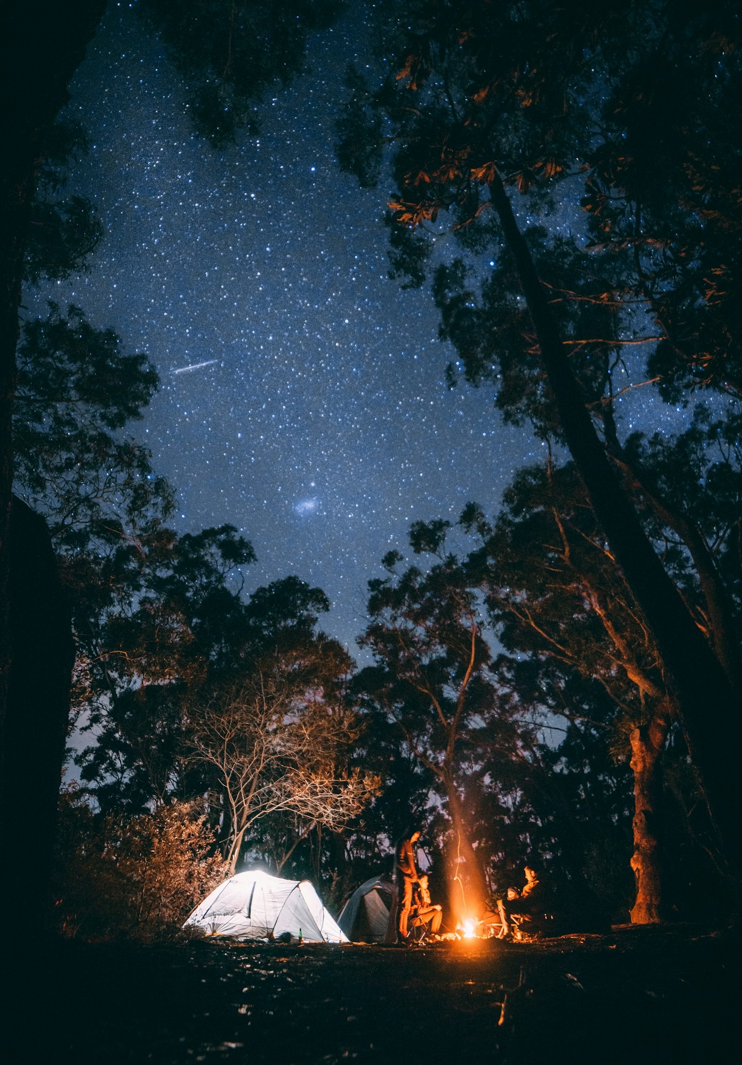 Exploring Scenic Routes for Car Campers